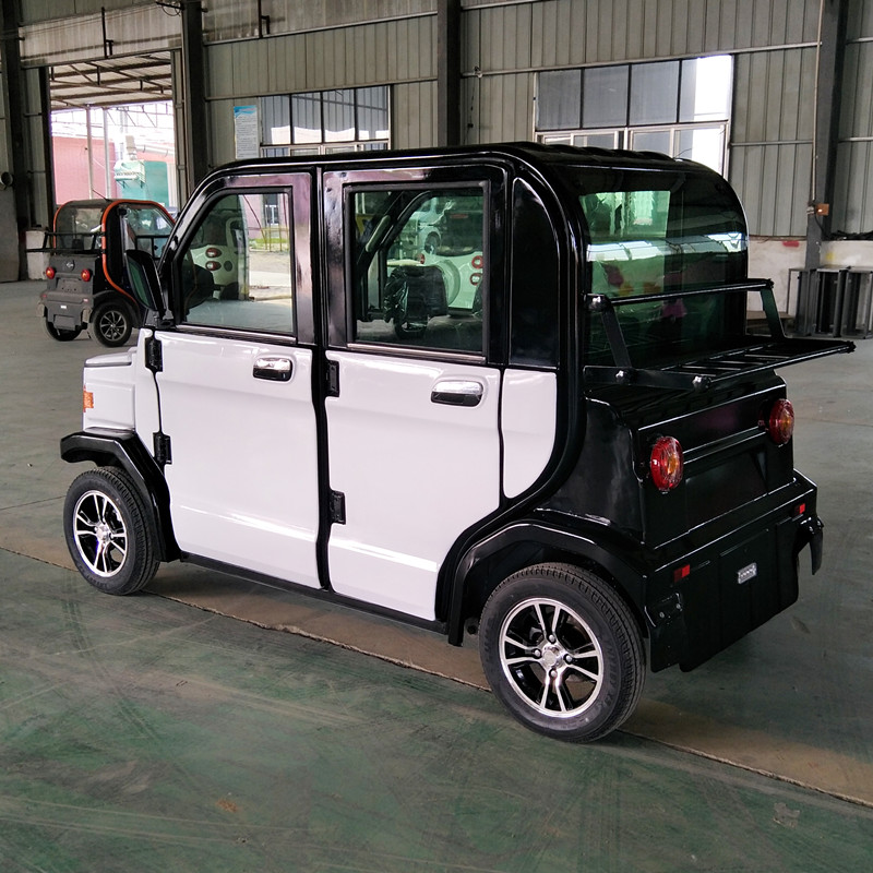 新能源代步轎車全封閉大洋迷你電瓶車