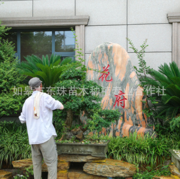 景觀樹(shù)木 景觀樹(shù)木報(bào)價(jià) 景觀樹(shù)木批發(fā) 景觀樹(shù)木供應(yīng)商 景觀樹(shù)木哪家好 景觀樹(shù)木電話