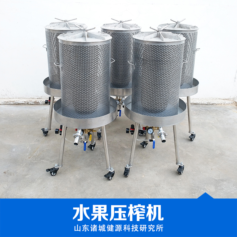 供應(yīng)葡萄壓榨紅酒設(shè)備釀酒設(shè)備*技術(shù)