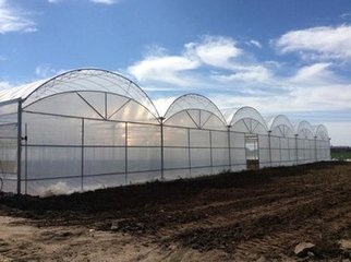 雙拱雙膜連棟溫室 雙拱雙膜連棟溫室比單層膜好在哪里