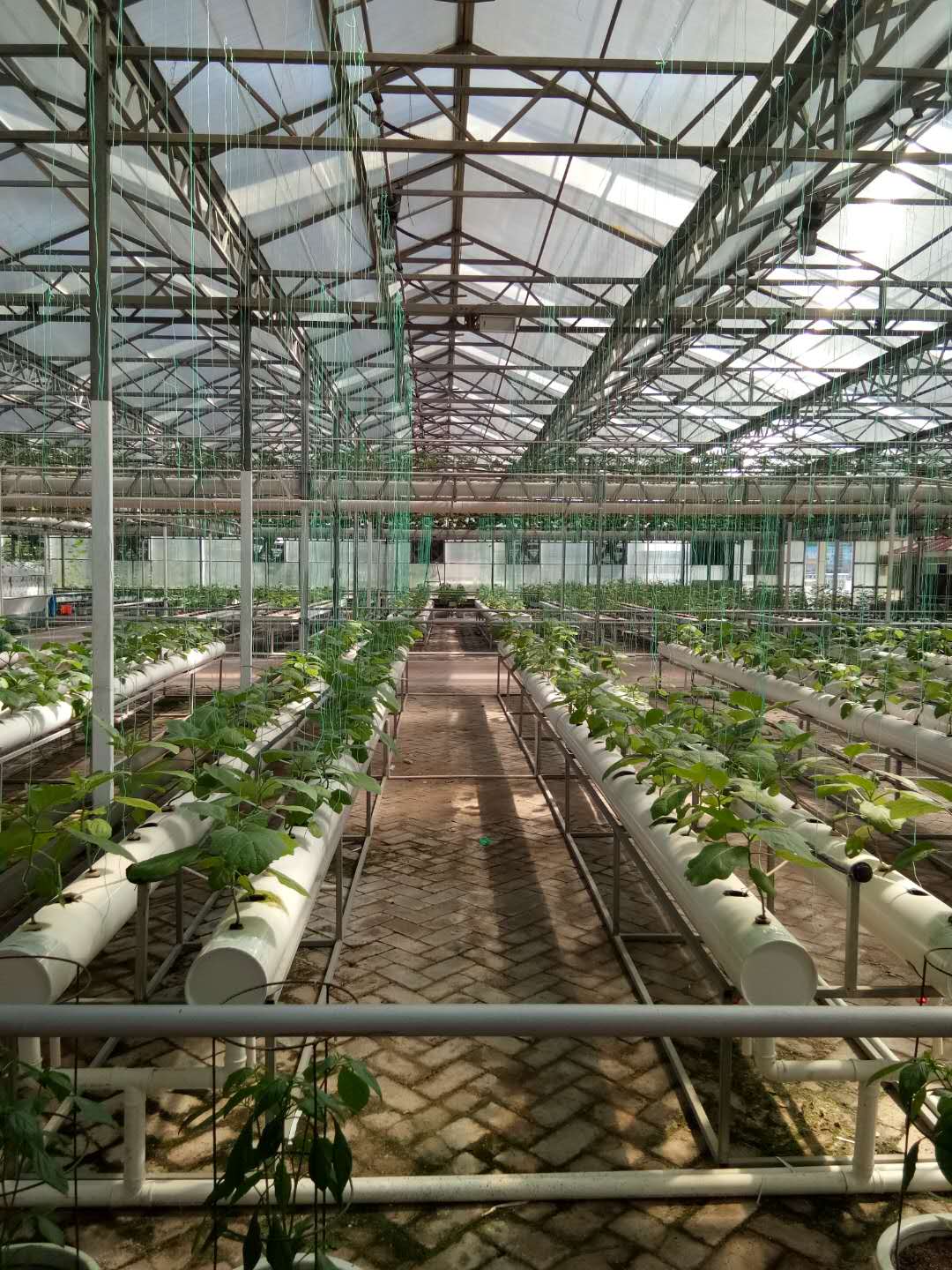 玻璃無土栽培蔬菜溫室 無土栽培蔬菜種植適合用哪種溫室大棚 濰坊建達溫室