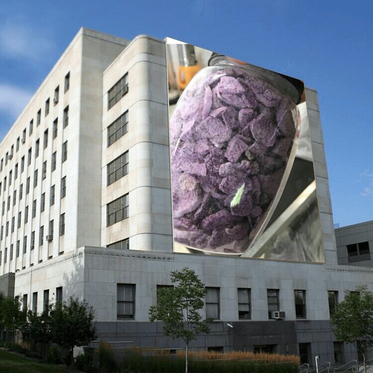 廣西新鮮紫玉淮山種植基地-廠家批發(fā)價(jià)格