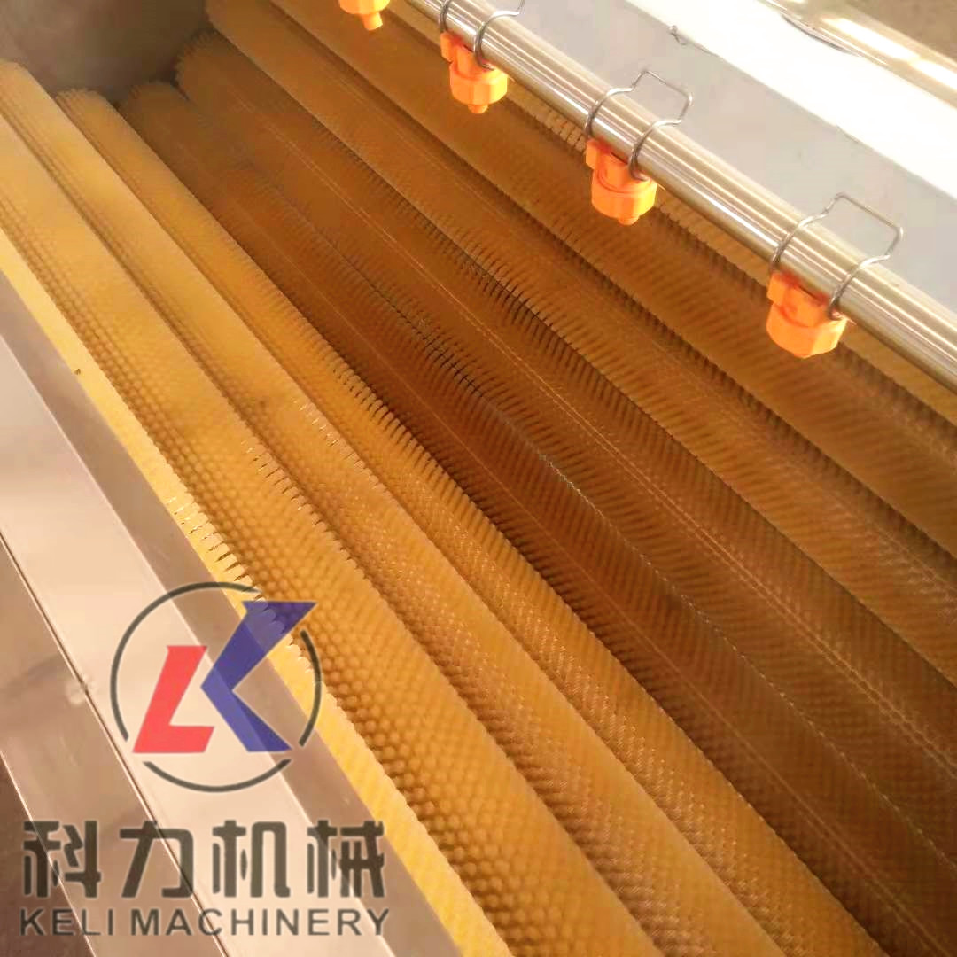 中藥材去皮清洗機 四川麻芋子清洗 中藥材去皮清洗機 麻芋子清洗機