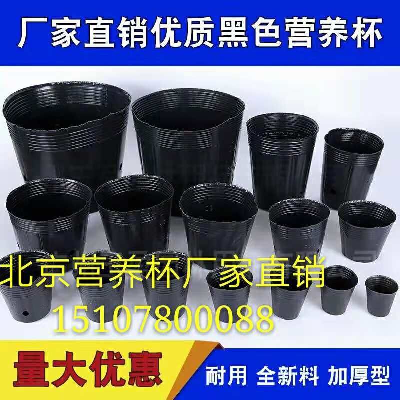 云南營養(yǎng)杯供應(yīng)商 營養(yǎng)杯批發(fā)價(jià)格 營養(yǎng)杯規(guī)格