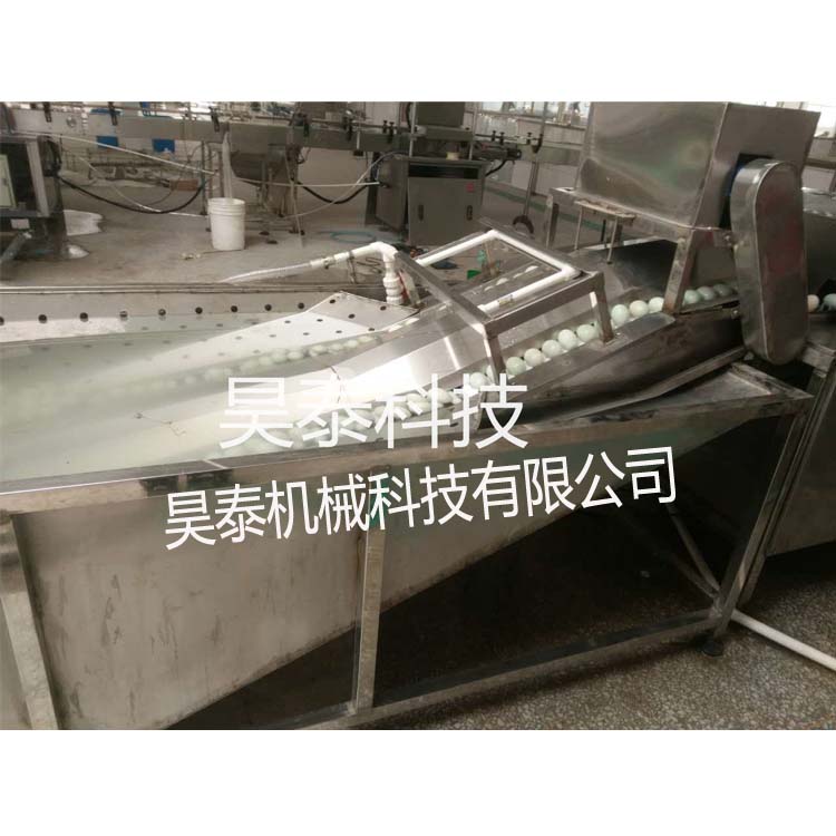 HTXD-P2 全自動(dòng)洗蛋機(jī)今年價(jià)格行情 鴨蛋清洗機(jī)