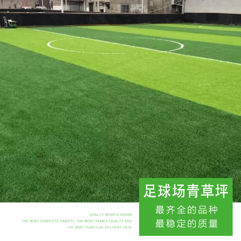 足球場(chǎng)青草坪 優(yōu)質(zhì)足球場(chǎng)青草坪 仿真草坪 綠化草坪 足球場(chǎng)青草坪價(jià)格 人工草坪 綠茵草場(chǎng) 品質(zhì)保障