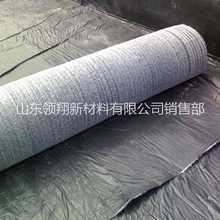 膨潤土防水毯 膨潤土防水毯報價 膨潤土防水毯電話 膨潤土防水毯批發(fā) 膨潤土防水毯直銷