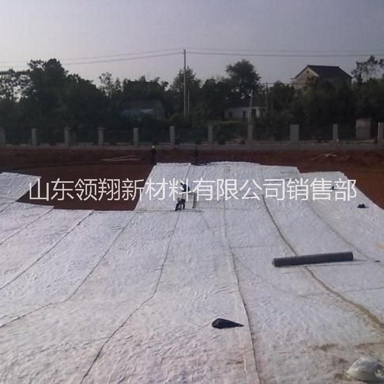 膨潤(rùn)土防水毯直銷 膨潤(rùn)土防水毯 膨潤(rùn)土防水毯供應(yīng)商 膨潤(rùn)土防水毯生產(chǎn)廠家 膨潤(rùn)土防水毯批發(fā) 膨潤(rùn)土防水毯報(bào)價(jià)