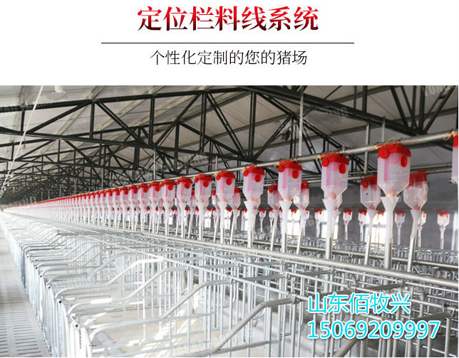 養(yǎng)豬料線自動養(yǎng)豬設(shè)備豬場自動上料系統(tǒng)育肥豬自動喂料設(shè)備絞龍料線