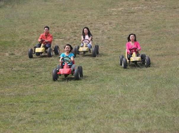 純電動觀光四輪車  微型代步四輪車