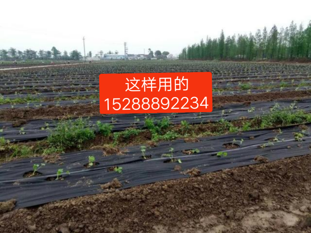 山東防草布生產(chǎn)廠家、防草布廠家直銷