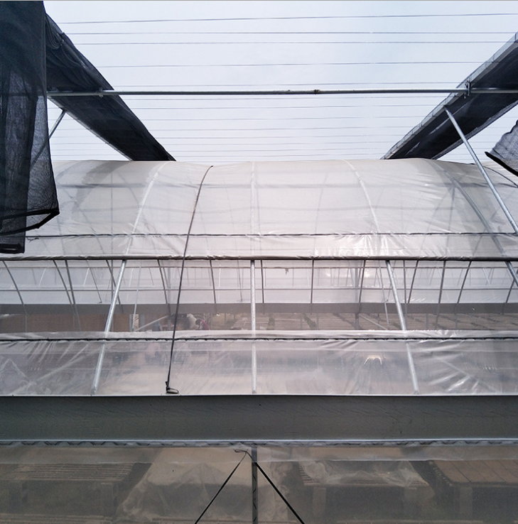 廠家直銷勇晟大棚鋼管可施工安裝 連體花房大棚鋼架量大從優(yōu)