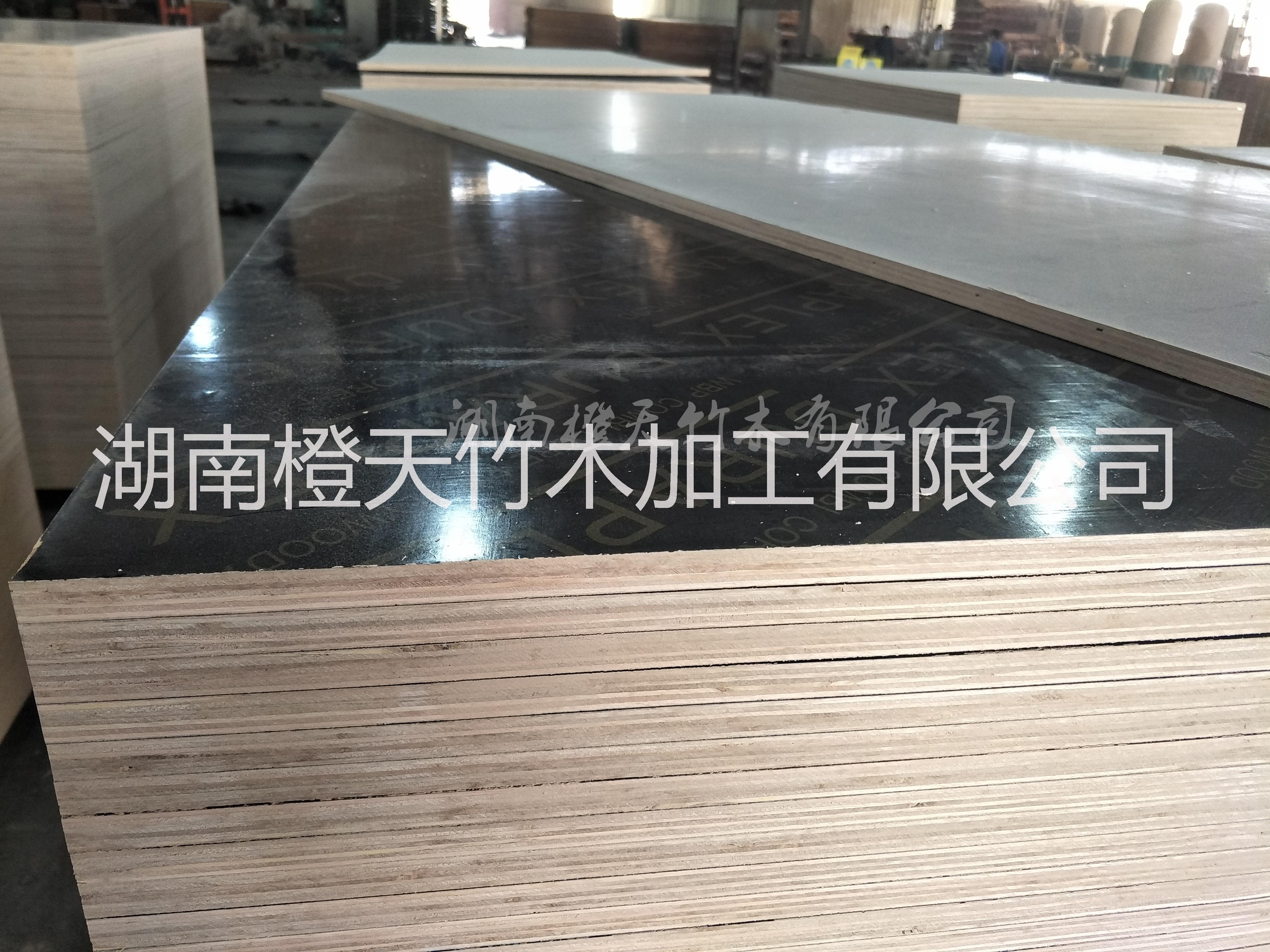 湖南橙天竹木 覆膜板 清水模板
