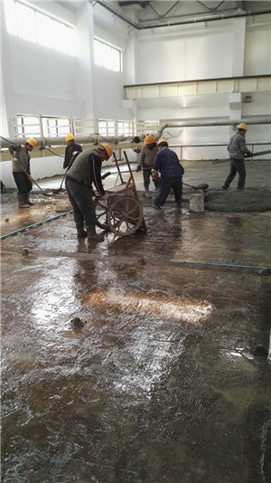 工程師B11環(huán)氧界面膠