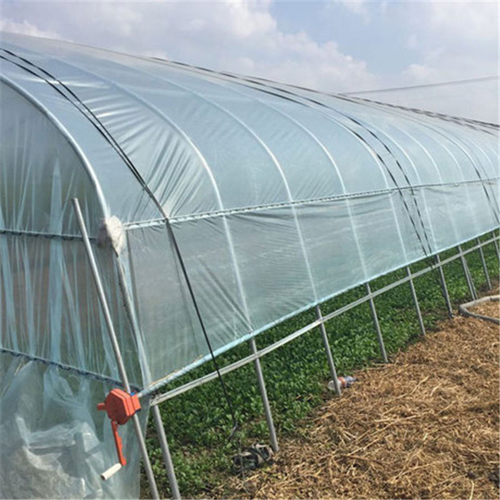 溫室大棚 連棟溫室大棚 花卉大棚 葡萄大棚 無(wú)錫溫室大棚