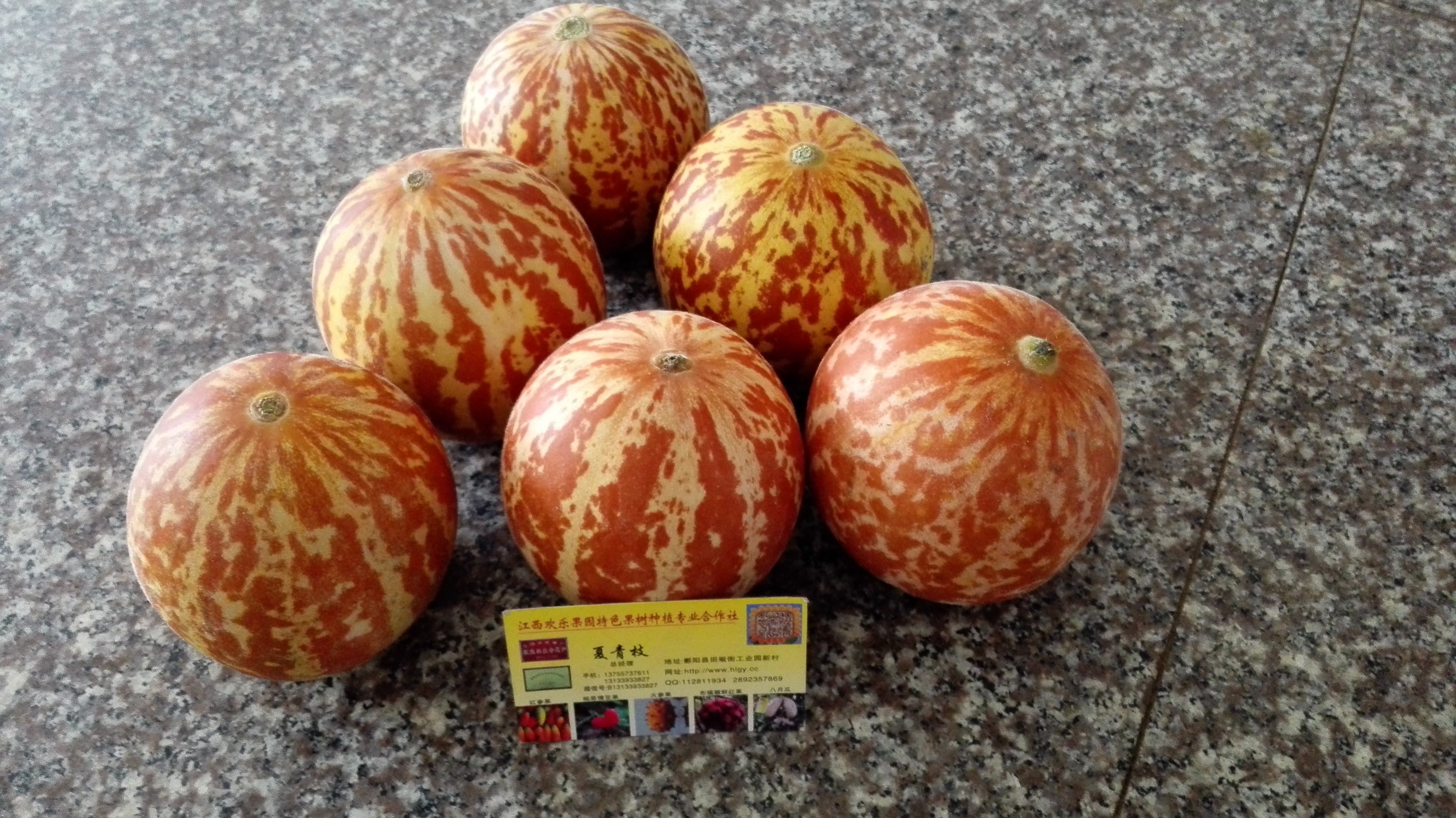 香水瓜 供應(yīng)香水瓜種子 江西香水瓜 香水瓜種子供應(yīng) 香水瓜種子廠家直銷