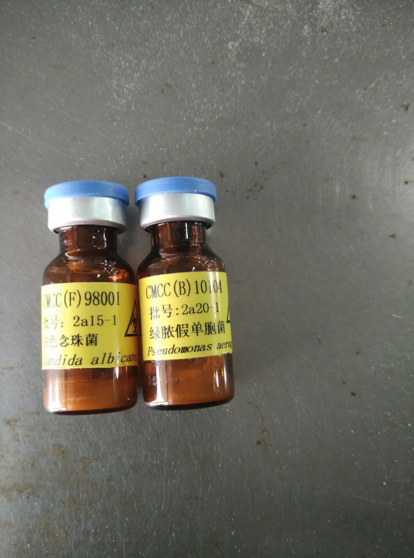 Bacillus pumilus 短小芽孢桿菌 ATCC菌種 質(zhì)粒菌種保藏