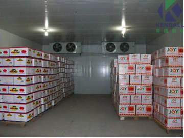 海鮮冷凍庫設(shè)計(jì)建造安裝