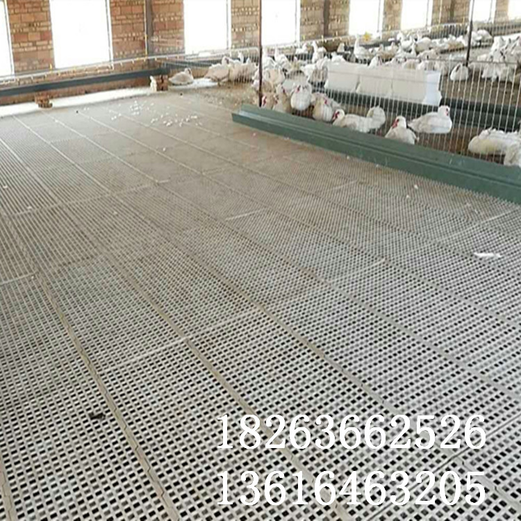 雞鴨鵝用漏糞板 漏糞地板生產(chǎn)廠家 塑料養(yǎng)殖地板價(jià)格