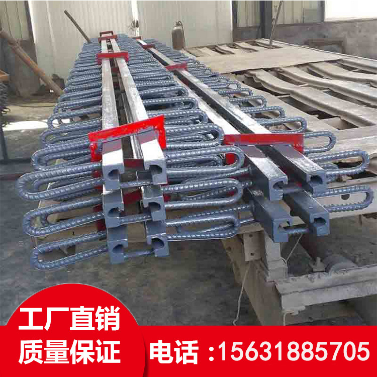 河北鼎通專業(yè)生產(chǎn) 高速橋梁伸縮縫