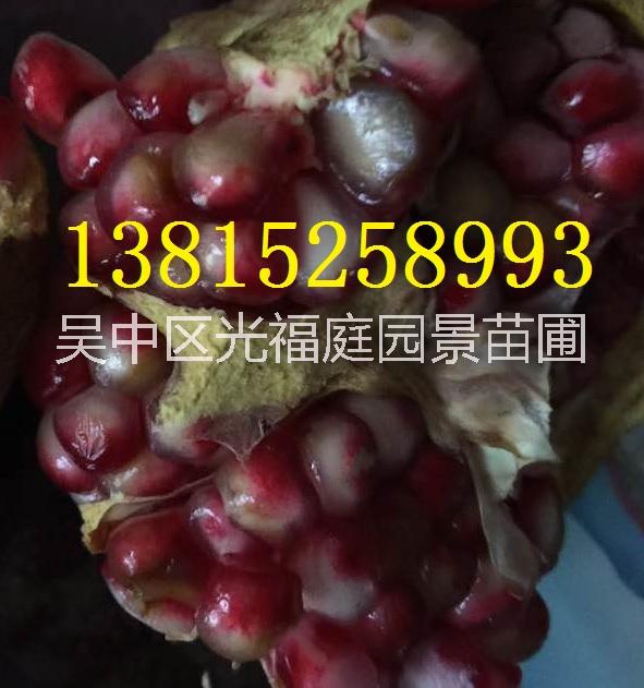 蘇州景觀綠化工程