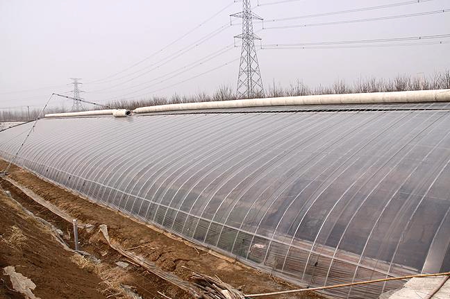 節(jié)能日光溫室造價(jià) 節(jié)能日光溫室廠家