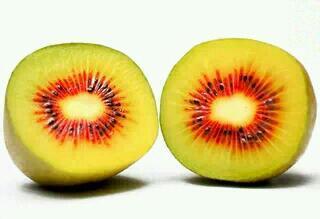 紅陽(yáng)獼猴桃，獼猴桃品種，獼猴桃樹(shù)苗，獼猴桃新品種