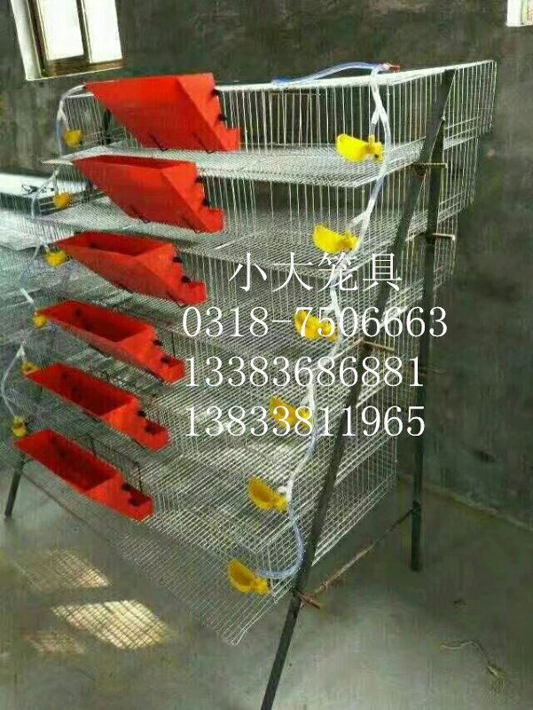 養(yǎng)殖設備雞籠鴿子籠兔子籠*籠狐