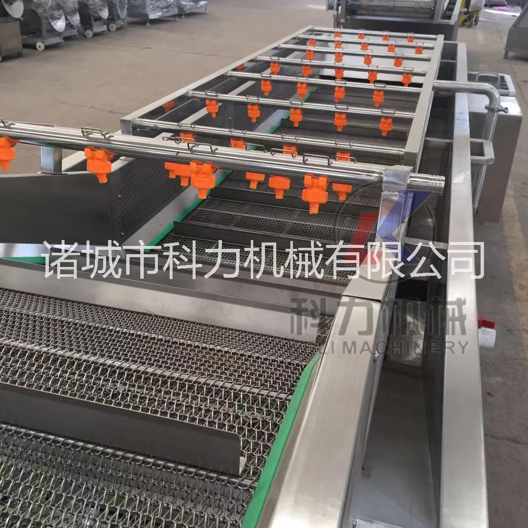 自動水果蔬菜氣泡清洗機多少錢