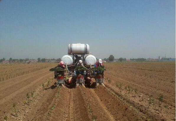 火絨機(jī)械西瓜甜瓜栽苗機(jī)