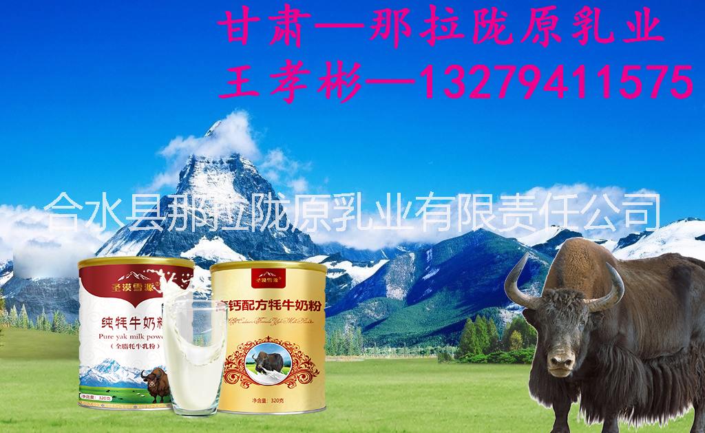 甘肅——圣漠雪原高鈣配方牦牛奶粉OEM