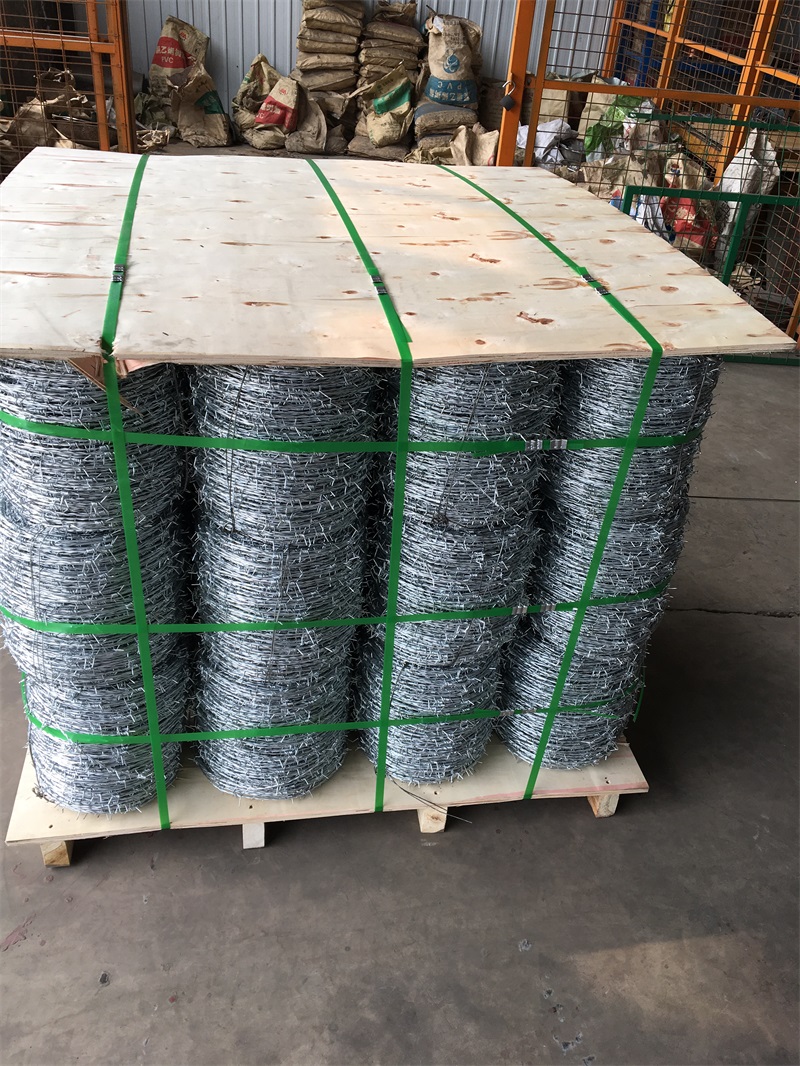 供應刺繩刺絲刀刺網(wǎng) 不銹鋼刺繩 Y型支架刀刺繩