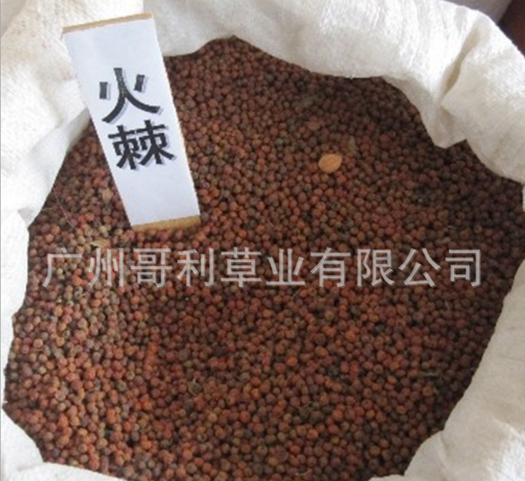 綠化灌木種子-火棘種子批發(fā)-火棘種子廠家價(jià)格