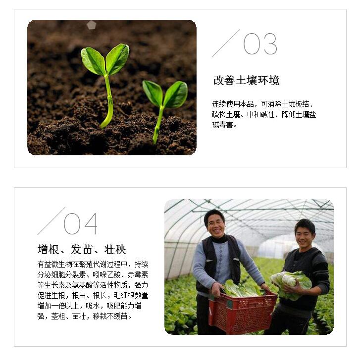 復(fù)合木霉菌 防蟲防病改善重茬