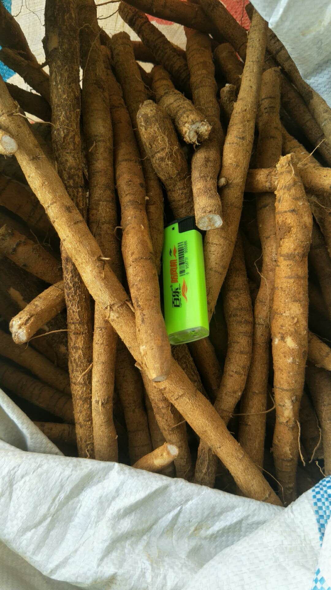 牛大力 新鮮種植牛大力（小牛）