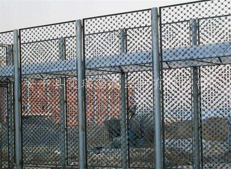 場地梅花刺圍網(wǎng)-梅花刺鋼網(wǎng)墻價格-監(jiān)獄太陽花刺隔離網(wǎng)