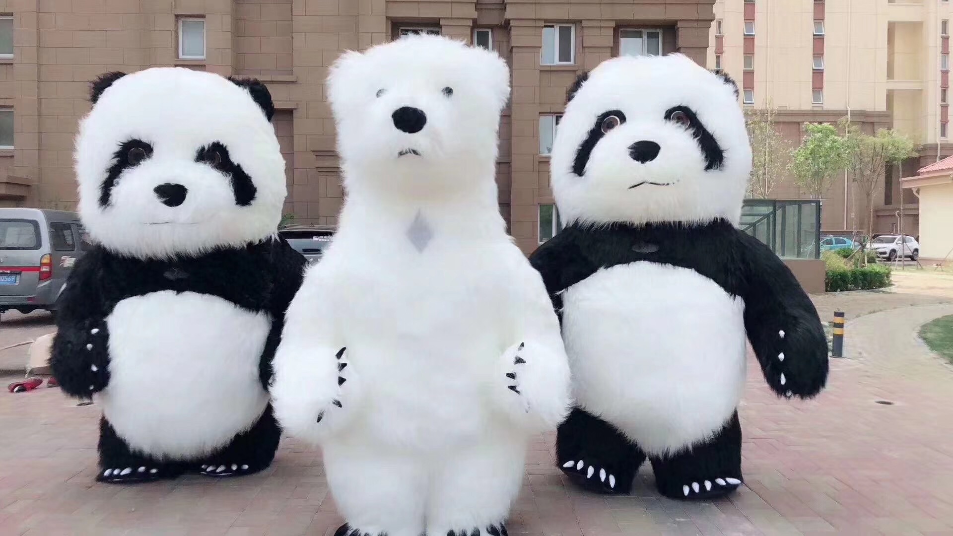 蘇州人穿熊貓玩偶出租租賃價(jià)格|人穿熊貓玩偶出租租賃 人穿熊貓玩偶