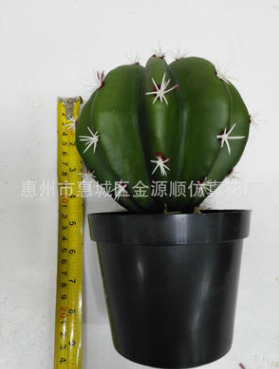 仿真盆 仿真盆栽生產(chǎn)廠家 仿真盆栽哪家 仿真盆栽供應(yīng)商 仿真盆栽批發(fā)