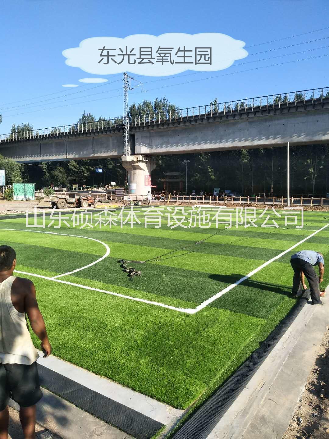河北東光縣足球場草坪鋪設(shè)