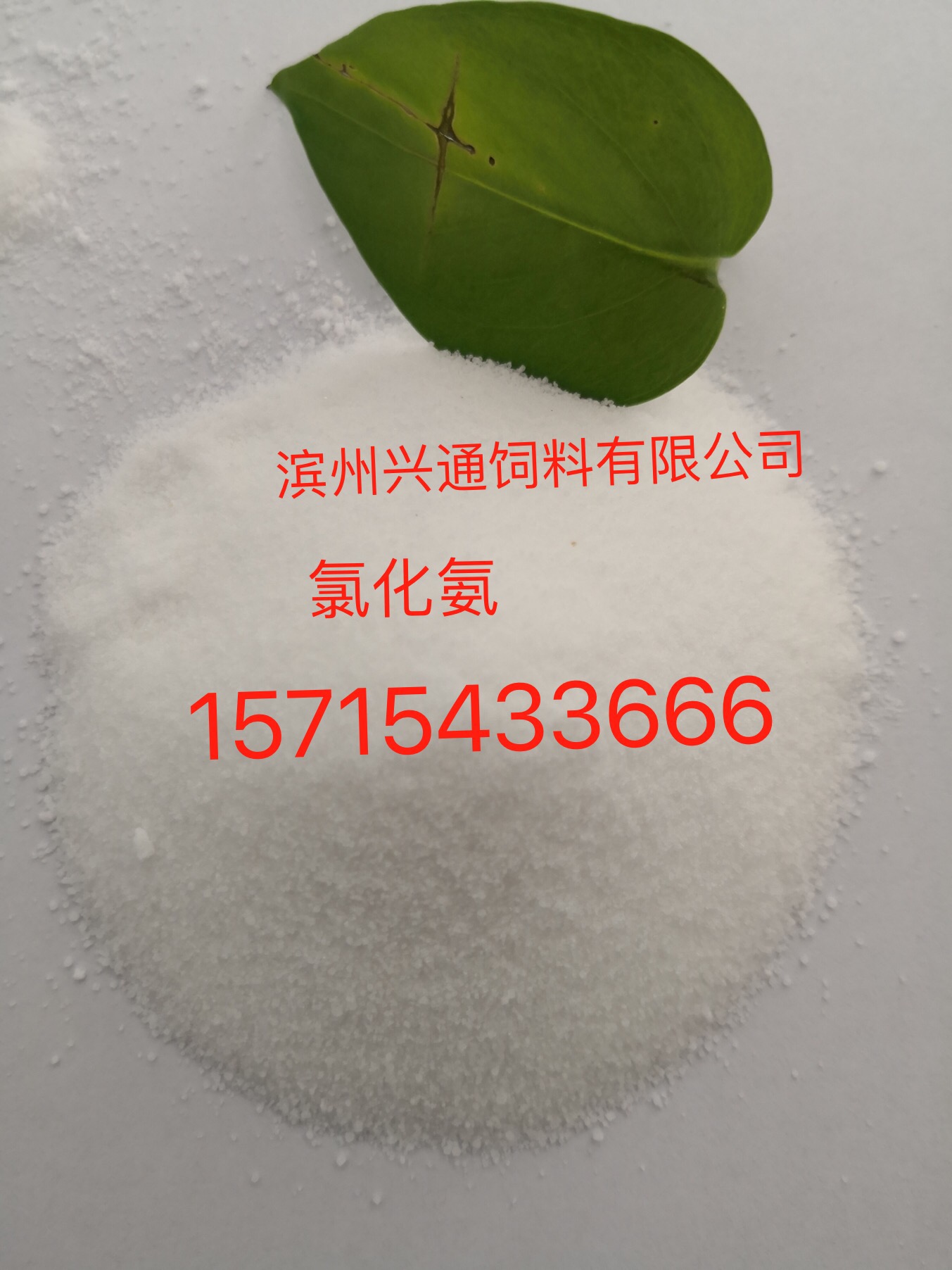 山東濱州供應飼料級lu hua銨