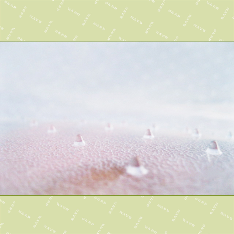 PVC地毯保護(hù)墊地毯墊防滑椅墊