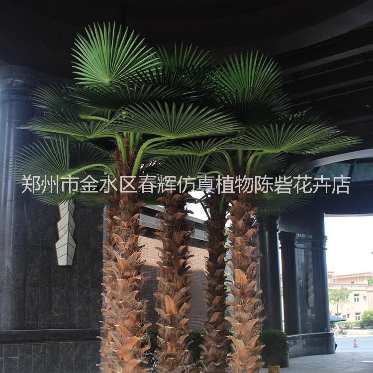 廠家直銷仿真棕櫚樹 唯美熱帶風(fēng)情仿真油棕 酒店大堂裝飾仿真樹 人造仿真棕櫚樹假樹