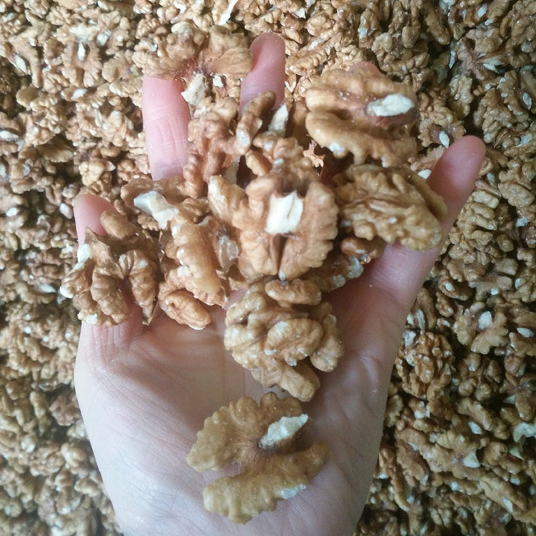 河北核桃仁生產(chǎn)廠家核桃仁出口廠家