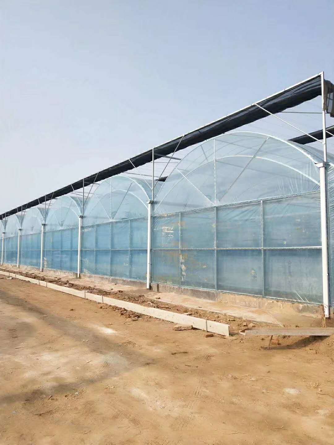 連棟薄膜溫室 連棟溫室大棚