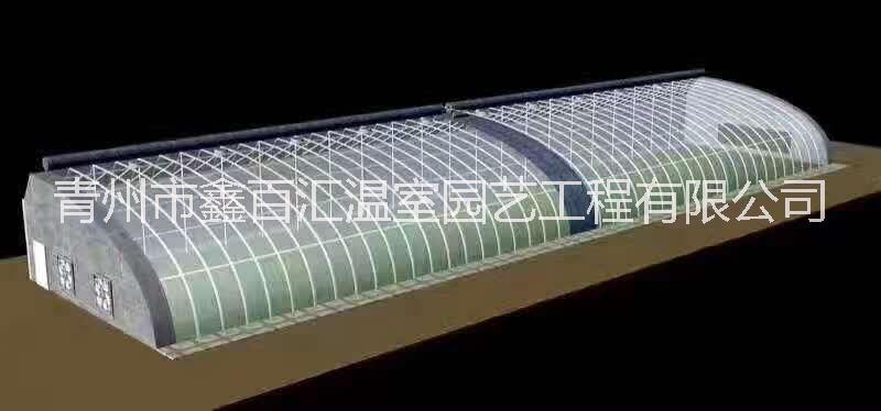 單拱溫室 農(nóng)用溫室