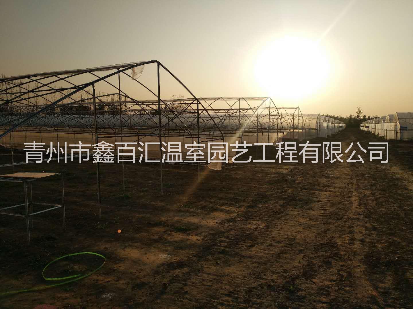 單拱溫室 農(nóng)用溫室