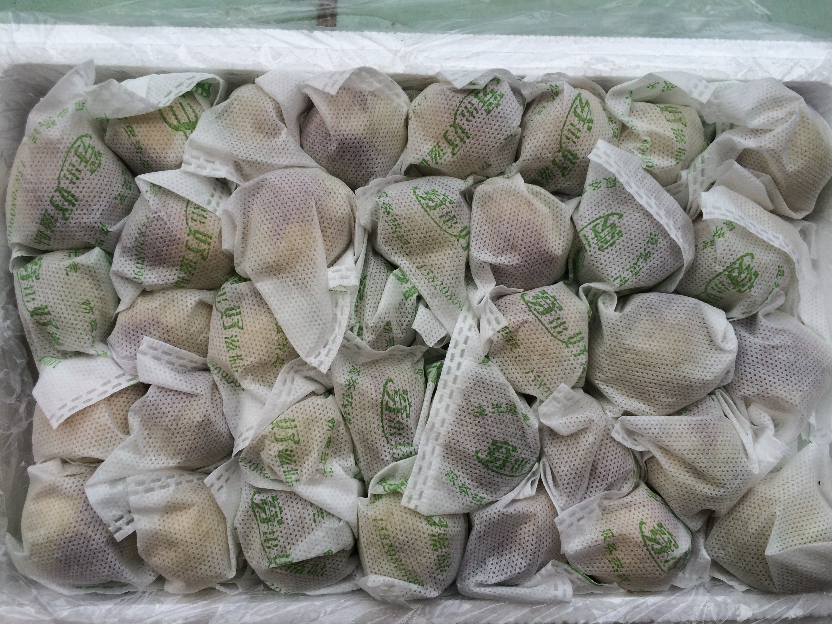 大荔冬棗套袋成為網(wǎng)紅水果熱捧