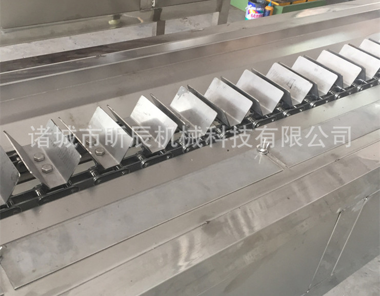 速凍玉米切頭去尾機 玉米切頭機 糯玉米切頭去尾機