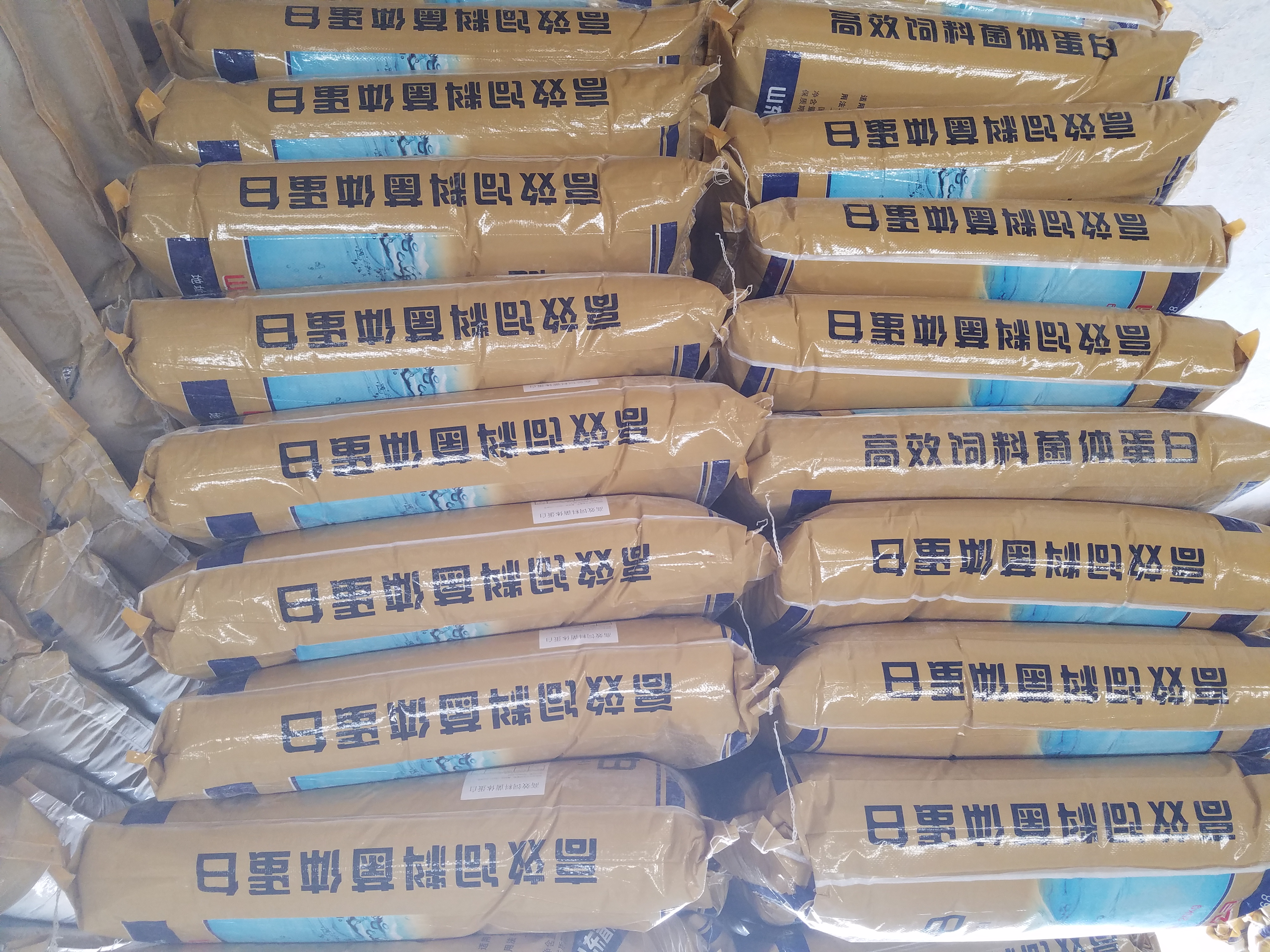 飼料菌體蛋白廠家 飼料菌體蛋白供應(yīng)商 廣東飼料菌體蛋白 優(yōu)質(zhì)飼料菌體蛋白供應(yīng)