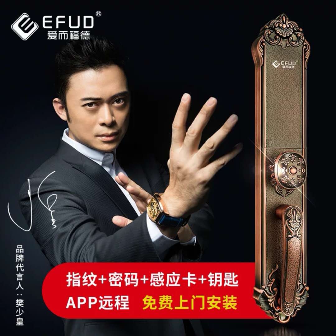 武漢市 武漢市愛而福德指紋鎖廠家